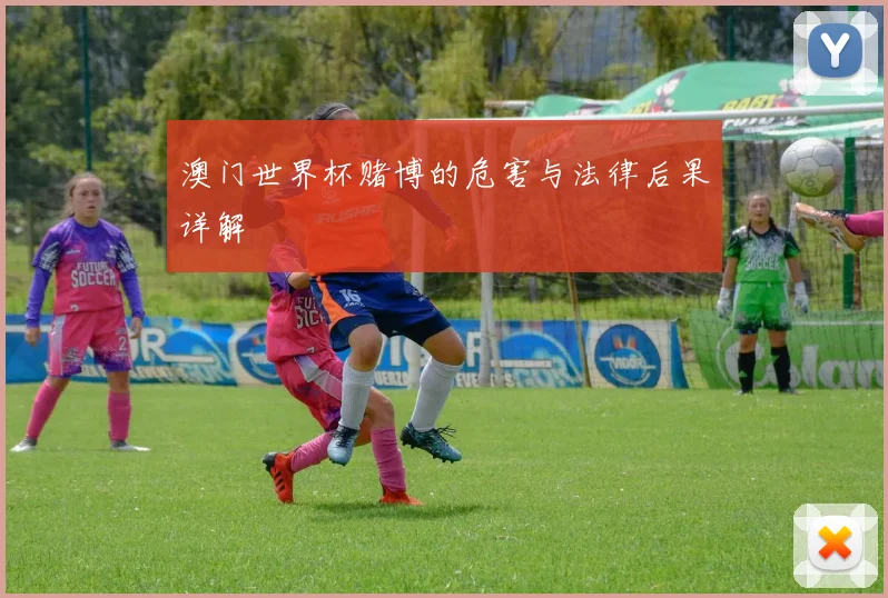 澳门世界杯赌博的危害与法律后果详解