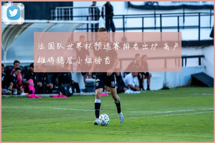 法国队世界杯预选赛排名出炉 高卢雄鸡稳居小组榜首