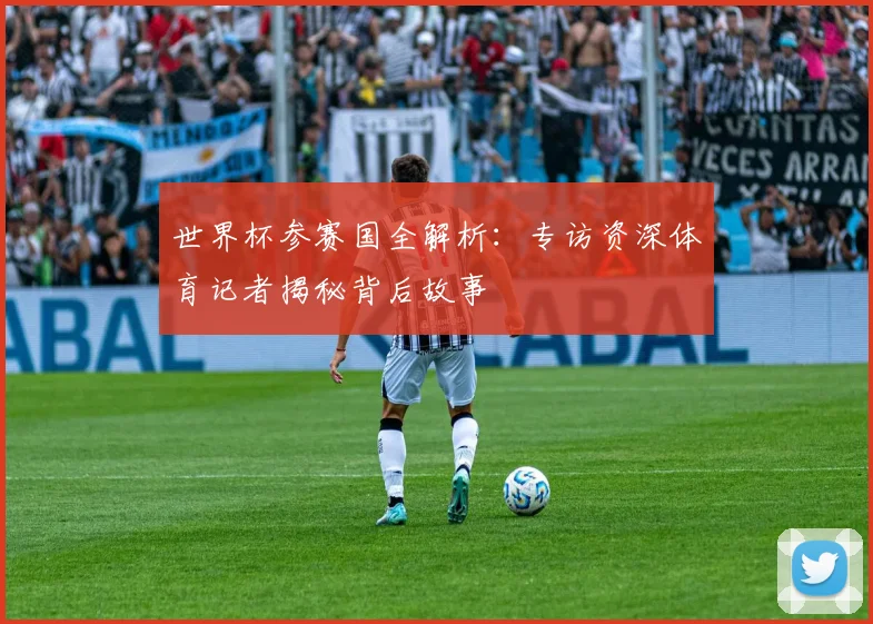 世界杯参赛国全解析:专访资深体育记者揭秘背后故事
