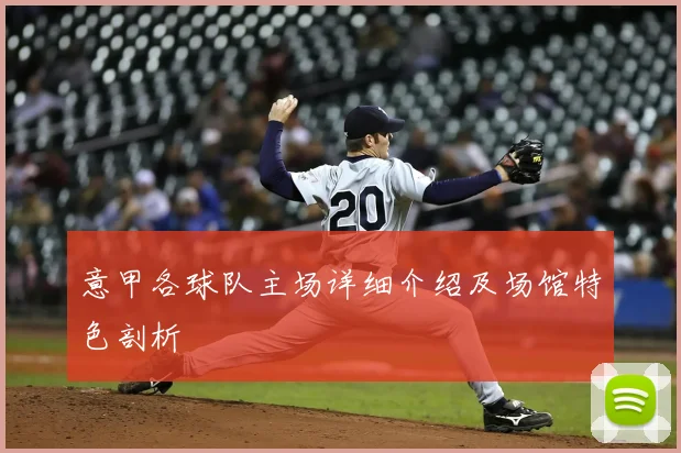 意甲各球队主场详细介绍及场馆特色剖析