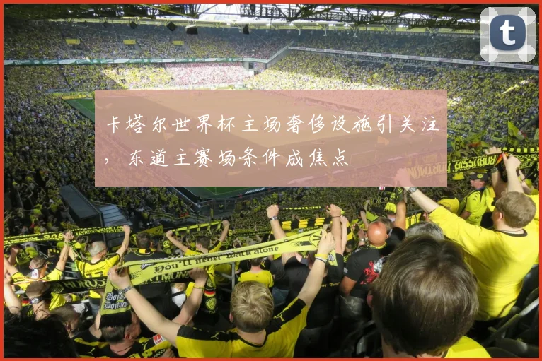 卡塔尔世界杯主场奢侈设施引关注，东道主赛场条件成焦点
