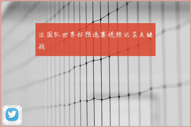 法国队世界杯预选赛视频记录关键战