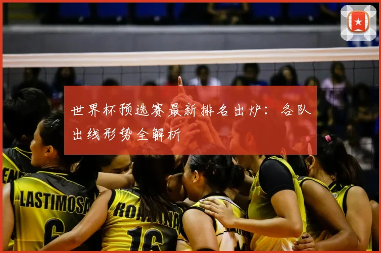 世界杯预选赛最新排名出炉：各队出线形势全解析