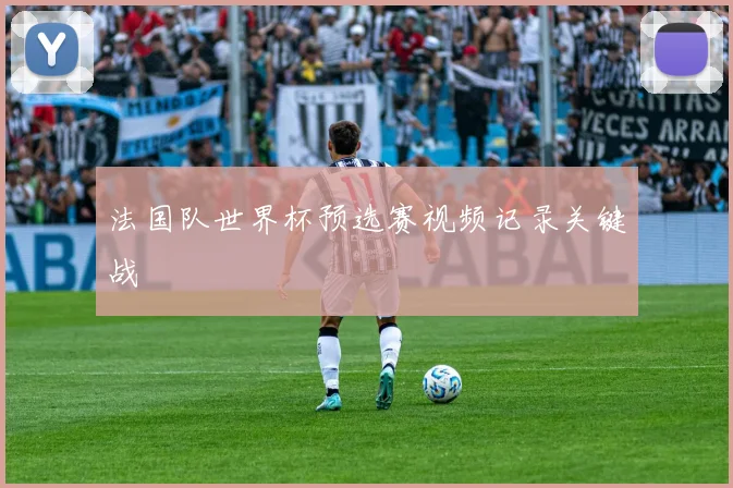 法国队世界杯预选赛视频记录关键战