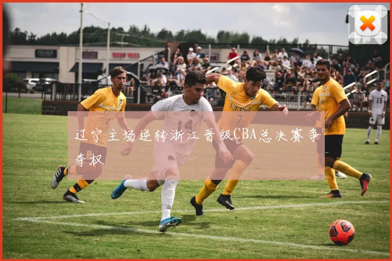 辽宁主场逆转浙江晋级CBA总决赛争夺权