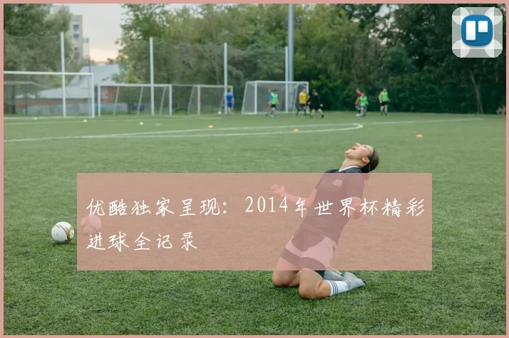 优酷独家呈现:2014年世界杯精彩进球全记录